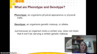 Punnett Squares  Homozygous Heterozygous [upl. by Atiuqehs]