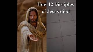 How 12 disciples of Jesus deadshortsub [upl. by Leasia671]