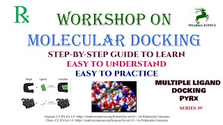 Workshop on Molecular docking  Multiple ligand docking  Series4 [upl. by Krishna]