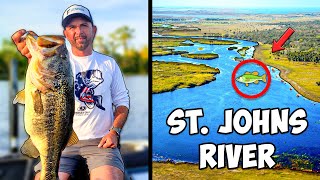 St Johns River Fishing Report Where Are The Bass [upl. by Anilatsyrc]