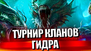 Стрим № 356 Капитан Пёсик Raid Shadow Legends [upl. by Kalin]