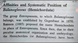 Affinities of balanoglossusHemichordata YashPartner [upl. by Jeannie]