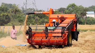 Gahir nippy45 mini harvester on field [upl. by Moffitt]