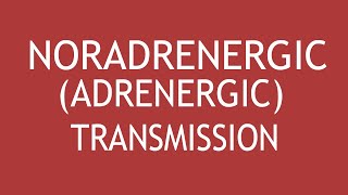 NoradrenergicAdrenergic Transmission by Dr Shikha Parmar [upl. by Nilecoj]