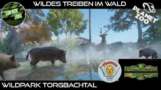 Wildpark Torgbachtal 17  Wildes Treiben im Wald  Planet Zoo  deutsch  einfachJörg [upl. by Neelyk113]