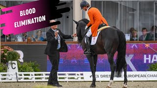 Dressage Disaster Adelinde Cornelissen Eliminated For Blood  Watch Her Grand Prix Dressage Warmup [upl. by Bambi]