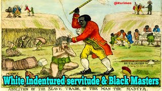 White Servitude amp Free Negro Masters  The Untold truth of American Slavery  Indentured Service [upl. by Nnaynaffit]