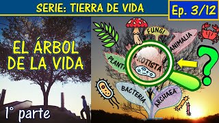 🌳Clasificación de los seres vivos ACTUAL📖Reinos dominios Woese Y MÁS🧫Tierra de Vida Ep 3 Parte 1 [upl. by Oesile]