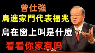 鳥進家門代表福兆？鳥在窗上叫代表什麼呢？蜻蜓鴿子飛進家可以驅趕嗎？曾仕強民間俗語中國文化國學國學智慧佛學知識人生感悟人生哲理佛教故事 [upl. by Murtha952]