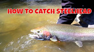 STEELHEAD ON A FLY  HOW TO [upl. by Nylsej]