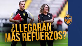 ¿Habrá más fichajes en Tigres Femenil Lo que dijo Milagros Martínez [upl. by Wrand714]