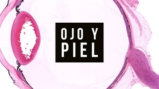 21  👁️ Histología del Ojo y Piel Todo lo que Necesitas Saber [upl. by Mariande]