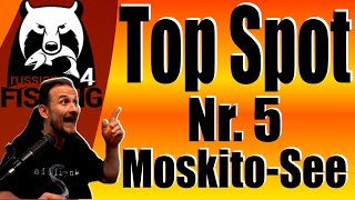 Russian Fishing 4  Top Spots  Moskitosee Nr 5 Spot [upl. by Herstein]