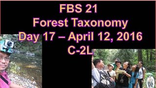 FBS 21  Forest Taxonomy Review Materials Day 17  April 12 2016 COUNTING CROWS  BIG YELLOW TAXI [upl. by Navy472]