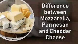 Difference between Mozzarella Parmesan and Cheddar Cheese  Basic Difference cheese [upl. by Larrad112]