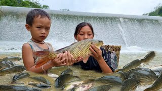 Top Videos Fishing Girl Fishing Skills Fishing Techniques in The Wild Harvesting Many Fish [upl. by Munniks857]