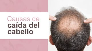 Causas de la caída del cabello en hombres l Dra María Clara Mejía [upl. by Zebe]