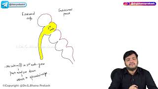 14 Pharyngeal Arches  Embryology [upl. by Bentlee]