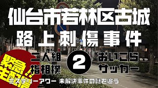 仙台市若林区古城路上刺傷事件 時効直前特集 考察編 【ミステリーアワー】未解決事件の謎を追う [upl. by Nolyaj]