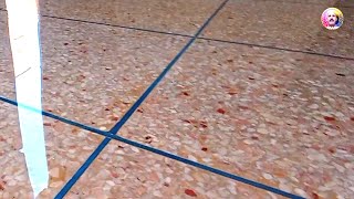 My experience transforming a terrazzo floor into a masterpiece [upl. by Easter]