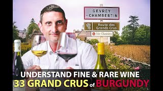 What makes the 33 Grand Crus of Burgundy Unique  Best Bourgogne Wines Explained [upl. by Seiden]