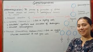 GAMETOGENESIS HUMAN REPRODUCTION CLASS 12 [upl. by Recnal755]