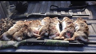 The Most AMAZING Rabbit Hunting Video EVER HD [upl. by Eidolem]