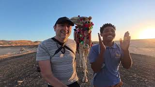 Camel Rides Amarina Jannah Egypt January 2024 [upl. by Ayikal194]