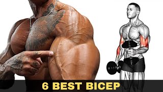 6 Best Bicep Workout For Thicker Arms  Biceps Exercises [upl. by Eiramrebma]