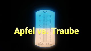 7 Äpfel 🍎 vs Wilde Trauben  Weinherstellung Wein machen [upl. by Assilat]