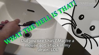 Pulling a mouse out of my drain Messing with my mind [upl. by Oal]