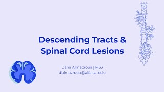 Descending Tracts amp Spinal Cord Lesions  Dana Almazroua  NEU 241 PAL review session [upl. by Dwight]