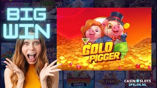 Gold Pigger  Fantasma Games  bonus game BIG WIN [upl. by Nosmoht]