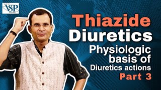 Physiologic basis of Diuretics action  Part 3 Thiazide diuretics  PHYSIOLOGY  MBBS [upl. by Brewster]