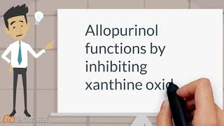 Mechanism of allopurinol [upl. by Llezo895]