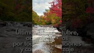 ÚLTIMO DÍA DEL MES DE OCTUBRE frases octubre amor parati buenosdias saludos bendiciones [upl. by Amedeo]