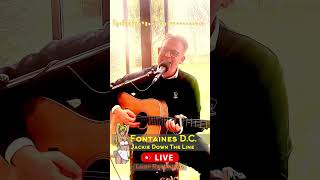 Jackie Down The Line  Fontaines DC Cover by Sommerby [upl. by Ecirtel]