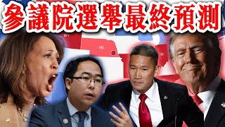 2024年美國參議院選舉最終預測：基於民調數據及投票歷史  2024年美国参议院选举最终预测：基于民调数据及投票历史 [upl. by Wilfrid]