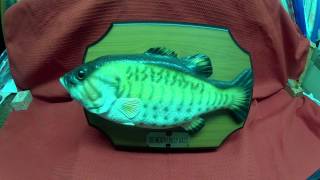 Big Mouth Billy Bass singender Fisch [upl. by Lede237]