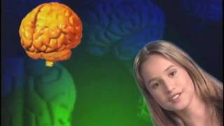 Getting Stupid How Drugs Damage your Brain [upl. by Abagael]