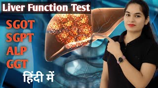 Liver function test in Hindi LFT Test  SGOT  SGPT  ALP  GGT  LFT Normal range  Biochemistry [upl. by Abramson]