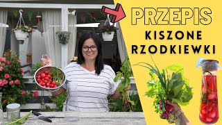 KISZONE RZODKIEWKI HIT DO GRILLA Przepis na PRZETWORY prosto z ogródka [upl. by Let]