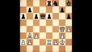 Garry Kasparov Vs Anatoly Karpov  Blitz game [upl. by Reeva816]