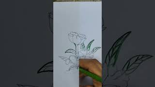 Floral Fantasy How to Draw a Zinnia Flower [upl. by Ikir]