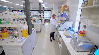 Tour of Childrens Medical Research Institute  Gene Therapy focus [upl. by Lleroj277]