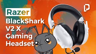 Razer BlackShark V2 X Gaming Headset still a solid choice [upl. by Gairc]