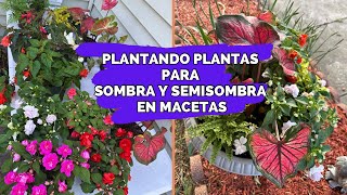 Plantando PLANTAS en maceta para el área de SOMBRA y SEMISOMBRA [upl. by Aisereht663]