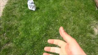 How To Spread Grass Seed With Your Hand No Tools Needed [upl. by Liborio676]