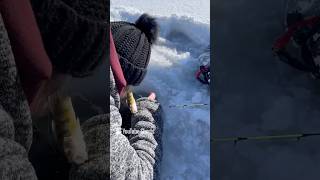 Ice fishing kind of fun [upl. by Eleph]