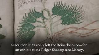 What We Know About the Voynich Manuscript [upl. by Morocco]